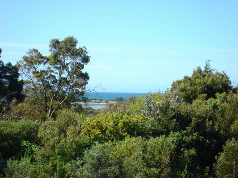 10 Bridview Place, Bridport TAS 7262