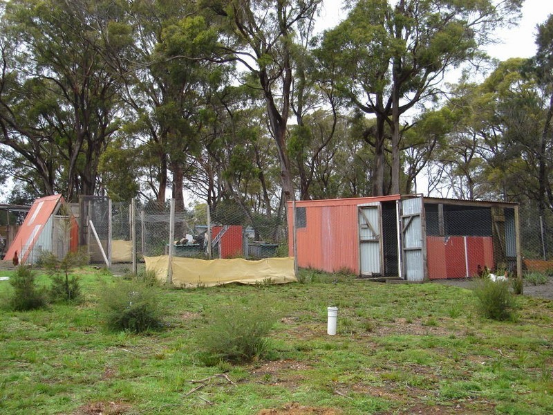 2565 Gladstone Road, Gladstone TAS 7264