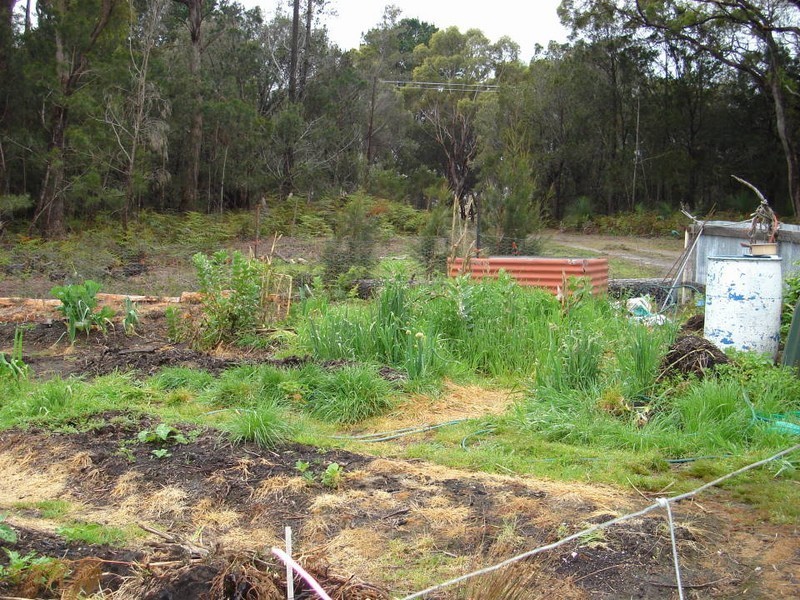 2565 Gladstone Road, Gladstone TAS 7264