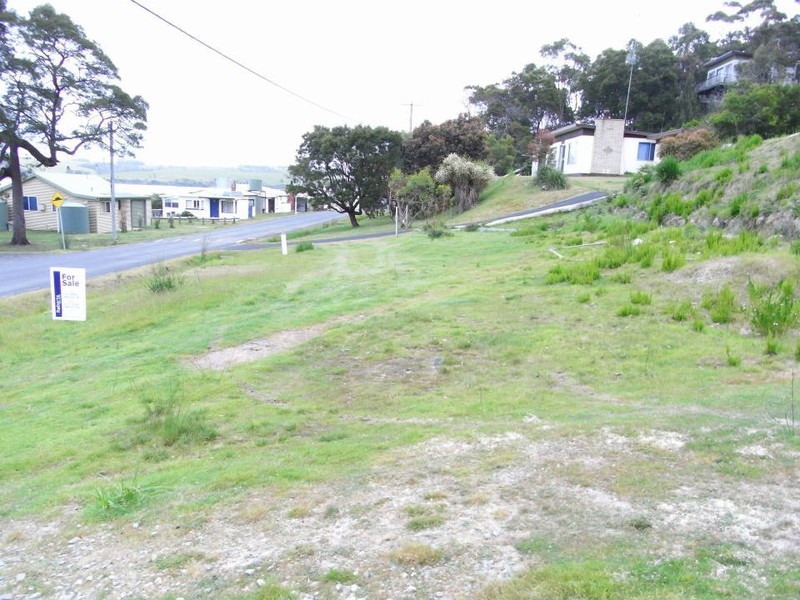 24 Acacia Drive, Ansons Bay TAS 7216