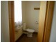 39 Winnaleah Road, Winnaleah TAS 7265