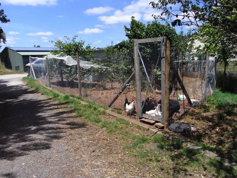 56 Shanty Road, Scottsdale TAS 7260