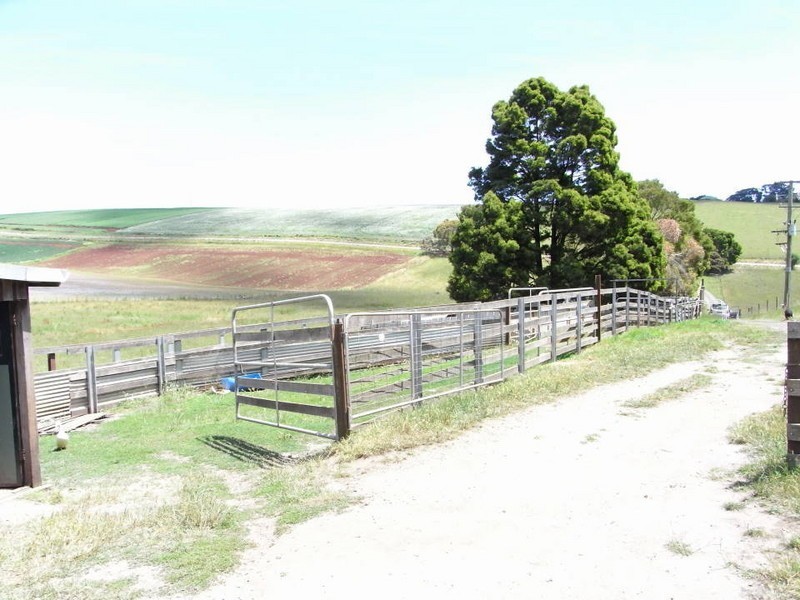 56 Shanty Road, Scottsdale TAS 7260