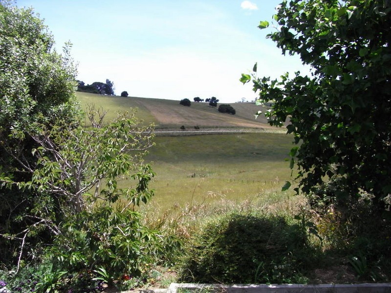 56 Shanty Road, Scottsdale TAS 7260