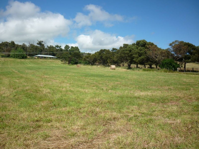 1927 Bridport Road, Bridport TAS 7262