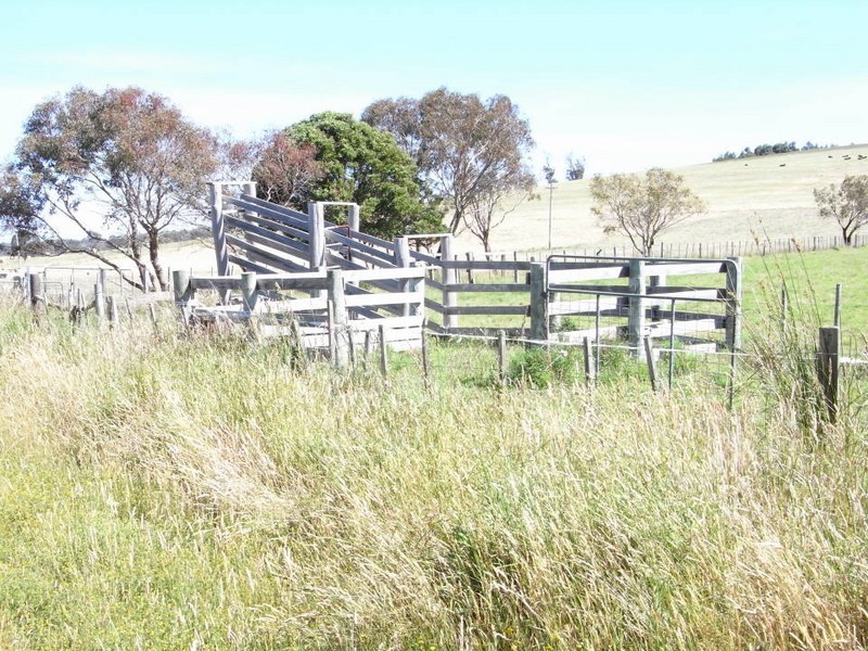 1927 Bridport Road, Bridport TAS 7262