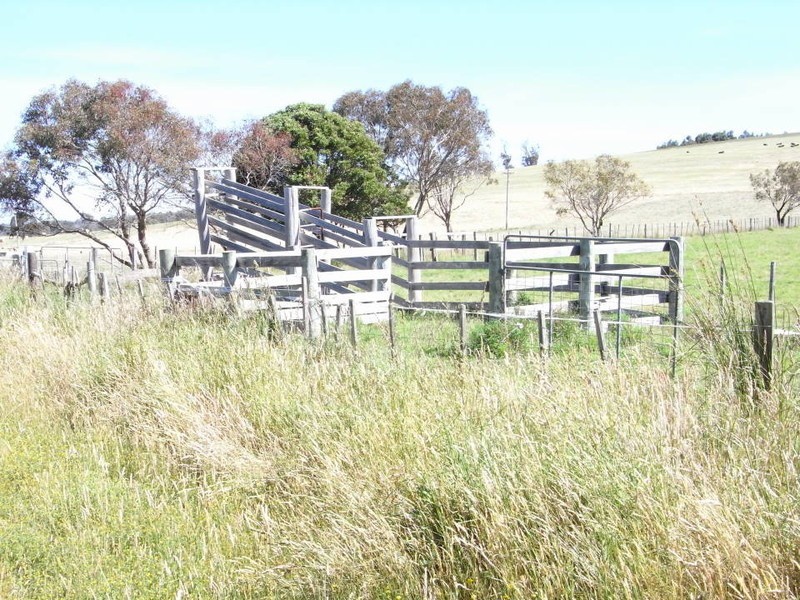 1927  Bridport Road, Bridport TAS 7262
