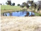 1927  Bridport Road, Bridport TAS 7262