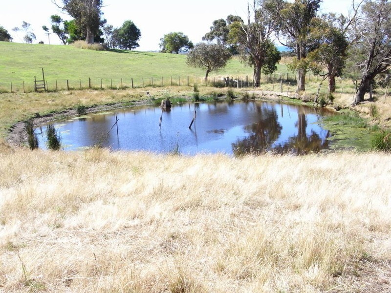 1927  Bridport Road, Bridport TAS 7262