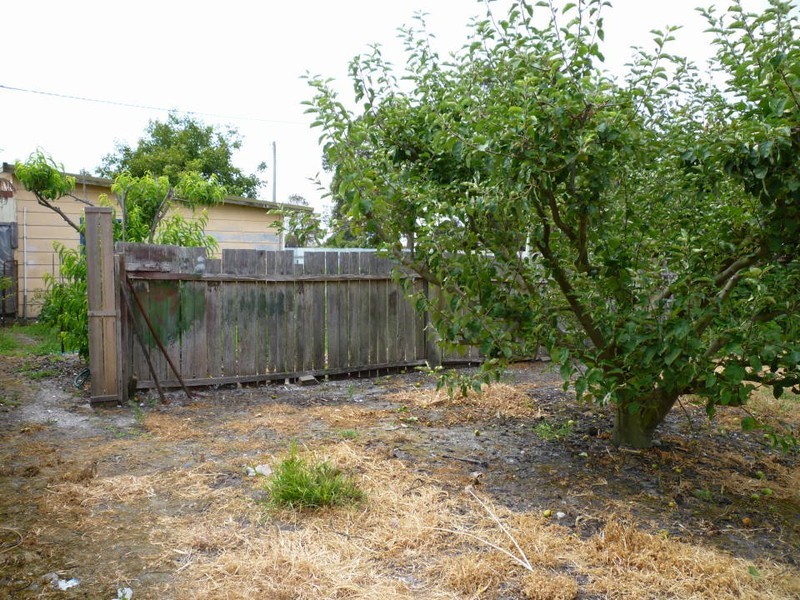 26 Emily Street, Bridport TAS 7262
