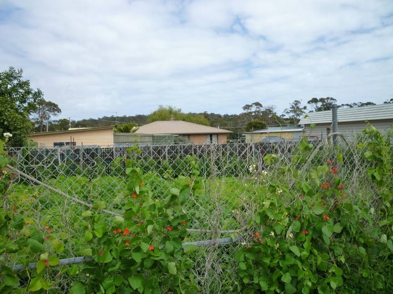 26 Emily Street, Bridport TAS 7262