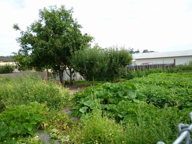 26 Emily Street, Bridport TAS 7262