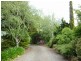 1038 Jensens Road, Scottsdale TAS 7260