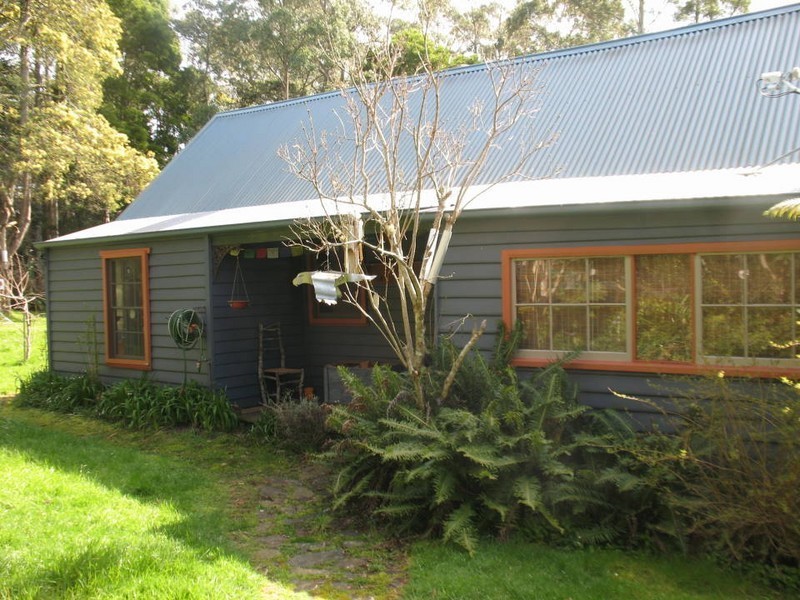 20 Mt Paris Dam Road, Weldborough TAS 7264
