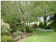 1038 Jensens Road, Scottsdale TAS 7260