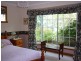 1038 Jensens Road, Scottsdale TAS 7260