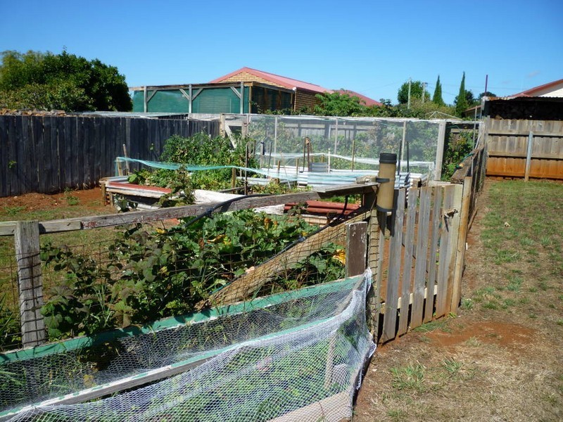 21 William Street, Scottsdale TAS 7260