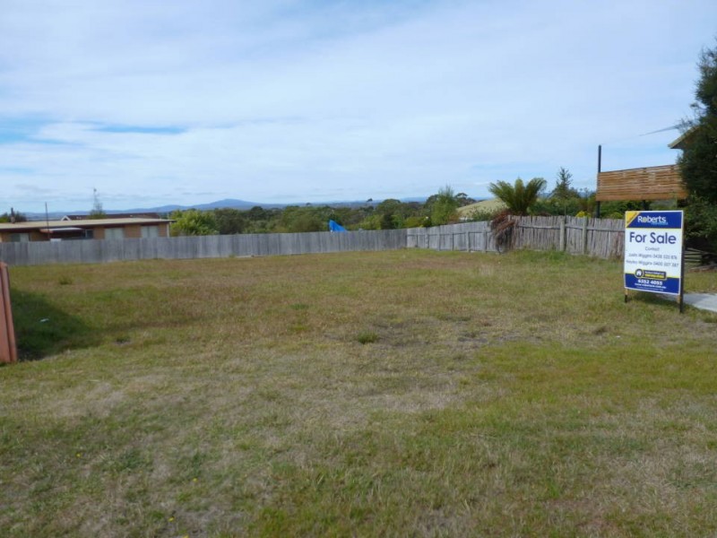 43 Elizabeth Street, Bridport TAS 7262