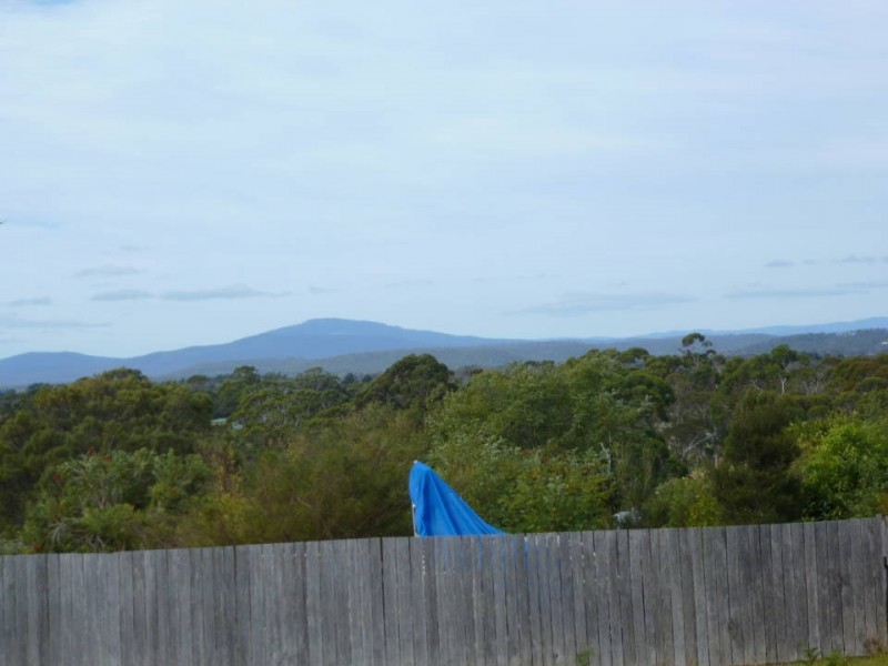 43 Elizabeth Street, Bridport TAS 7262