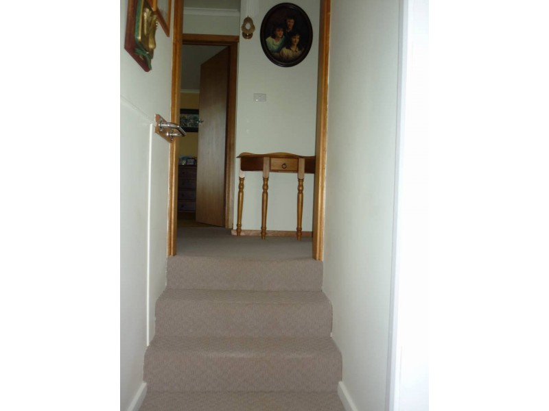 5 Percy Street, Scottsdale TAS 7260