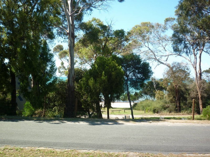 35 Bentley Street, Bridport TAS 7262