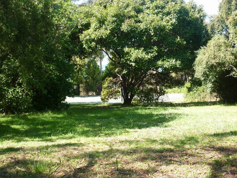 35 Bentley Street, Bridport TAS 7262