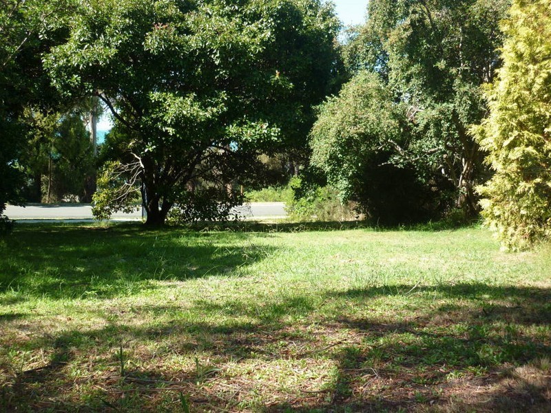 35 Bentley Street, Bridport TAS 7262