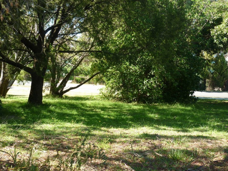 35 Bentley Street, Bridport TAS 7262