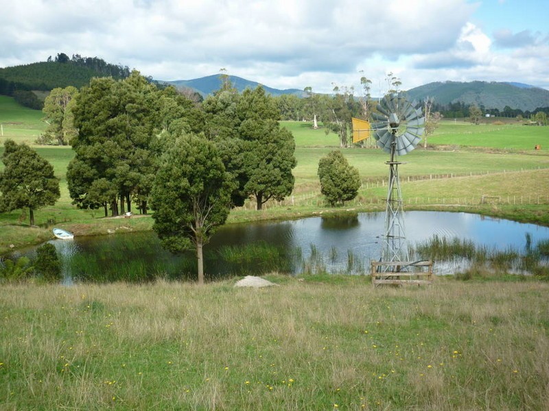 242 East Minstone Road, Scottsdale TAS 7260