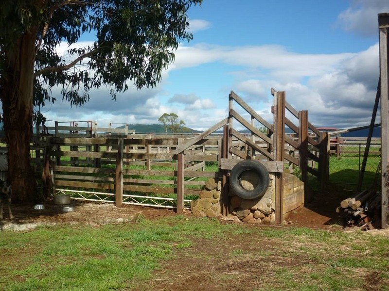 242 East Minstone Road, Scottsdale TAS 7260