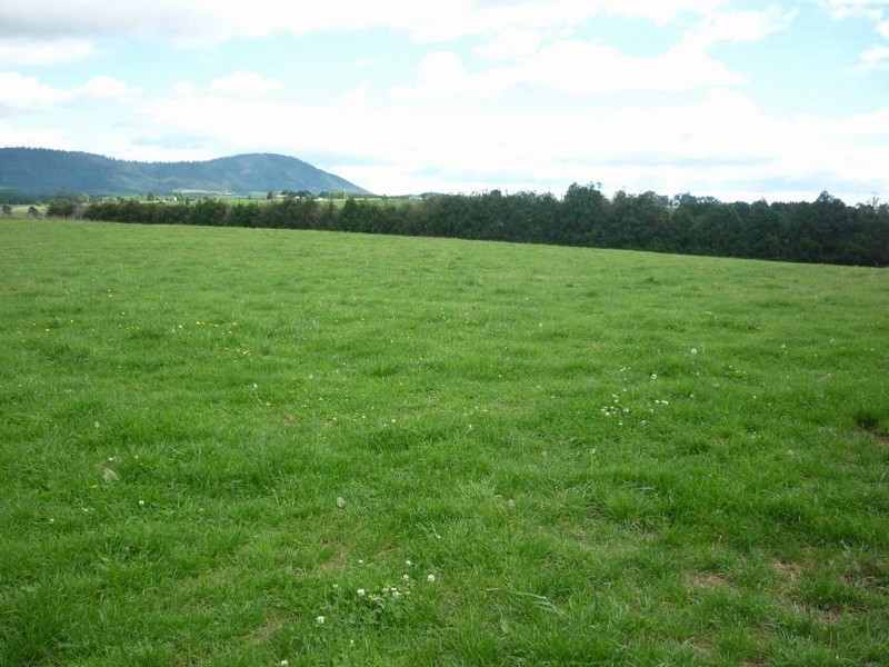 242 East Minstone Road, Scottsdale TAS 7260