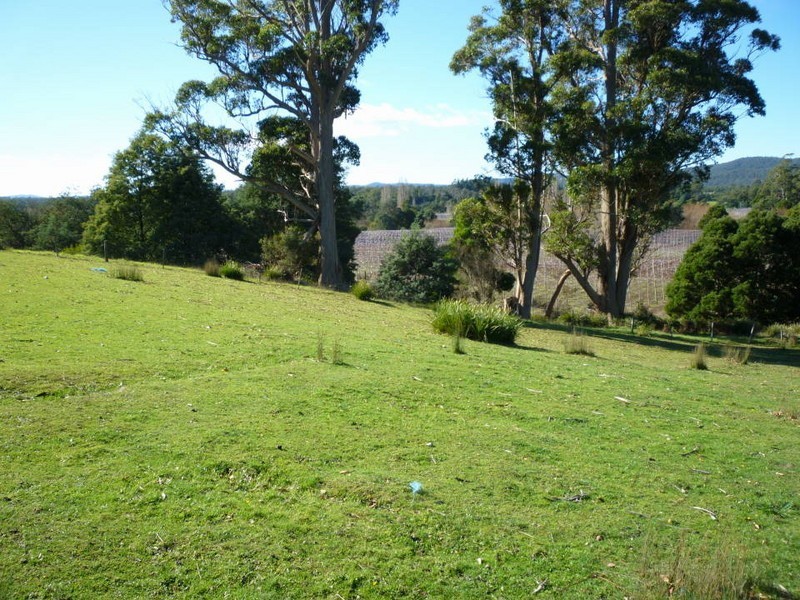 34585 Tasman Highway, Scottsdale TAS 7260