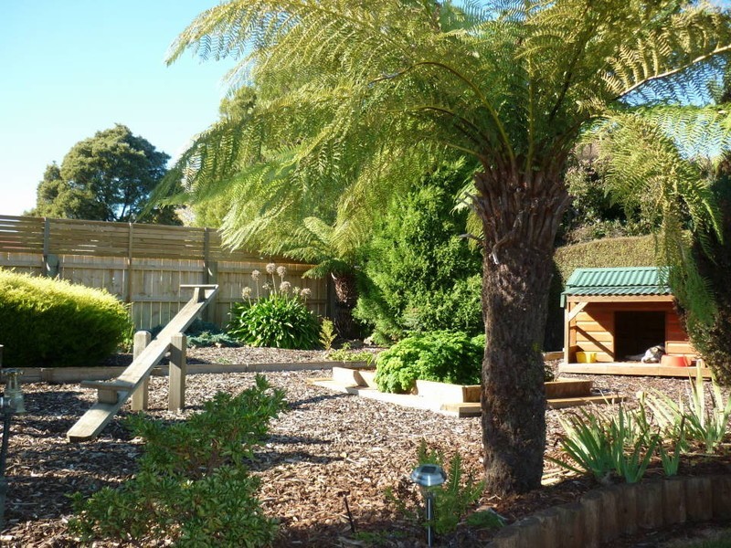 24 Alfred Street, Scottsdale TAS 7260