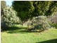 48 Ringarooma Road, Scottsdale TAS 7260