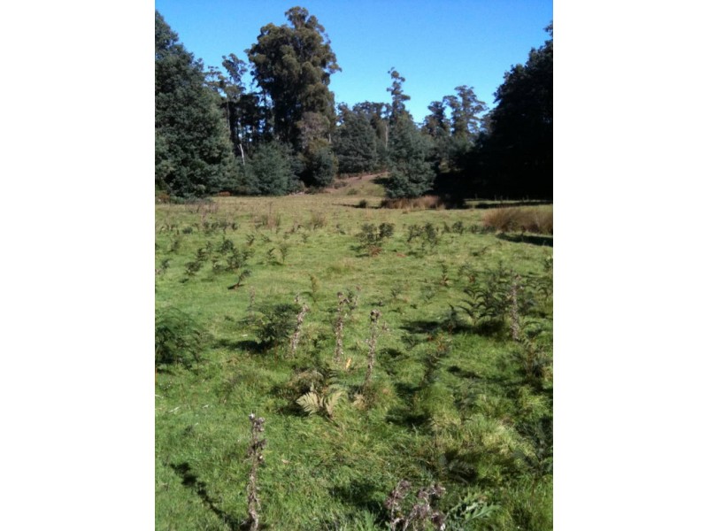 Prosperity Road, Cuckoo, Scottsdale TAS 7260