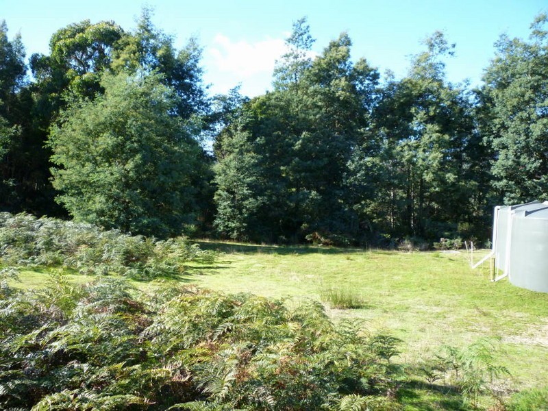 Prosperity Road, Cuckoo, Scottsdale TAS 7260