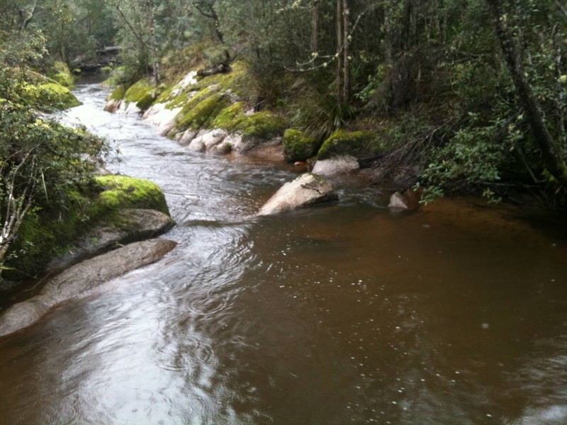 Prosperity Road, Cuckoo, Scottsdale TAS 7260