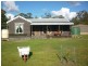 1480 Gldstone Road, Sth Mt Cameron, Gladstone TAS 7264