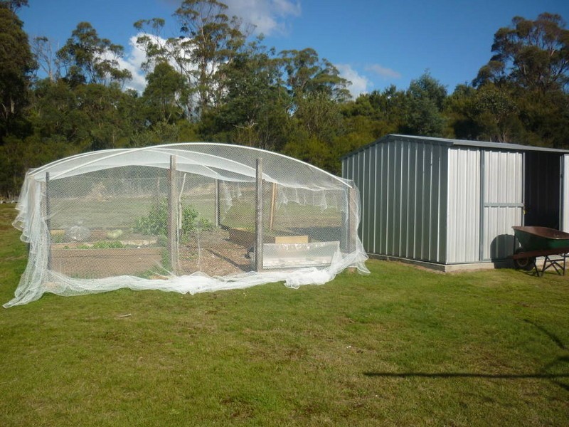 1480 Gldstone Road, Sth Mt Cameron, Gladstone TAS 7264