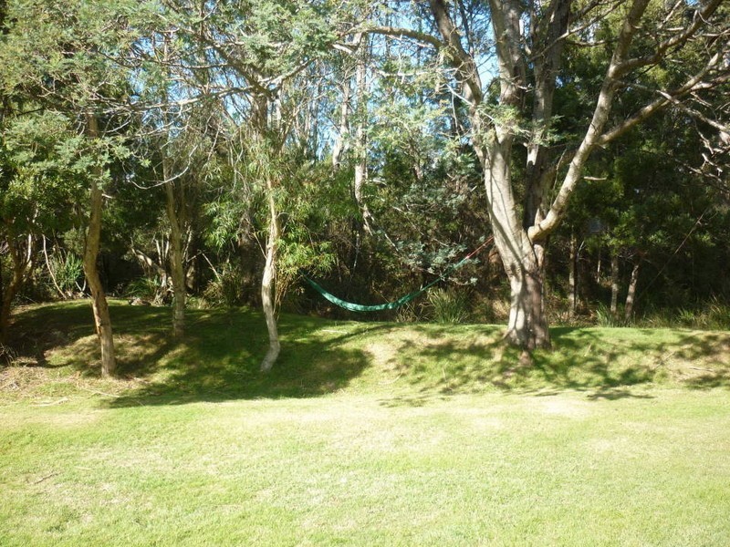 1480 Gldstone Road, Sth Mt Cameron, Gladstone TAS 7264