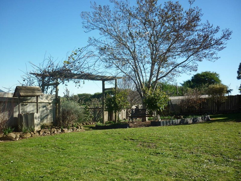 88 Williams Road, Scottsdale TAS 7260