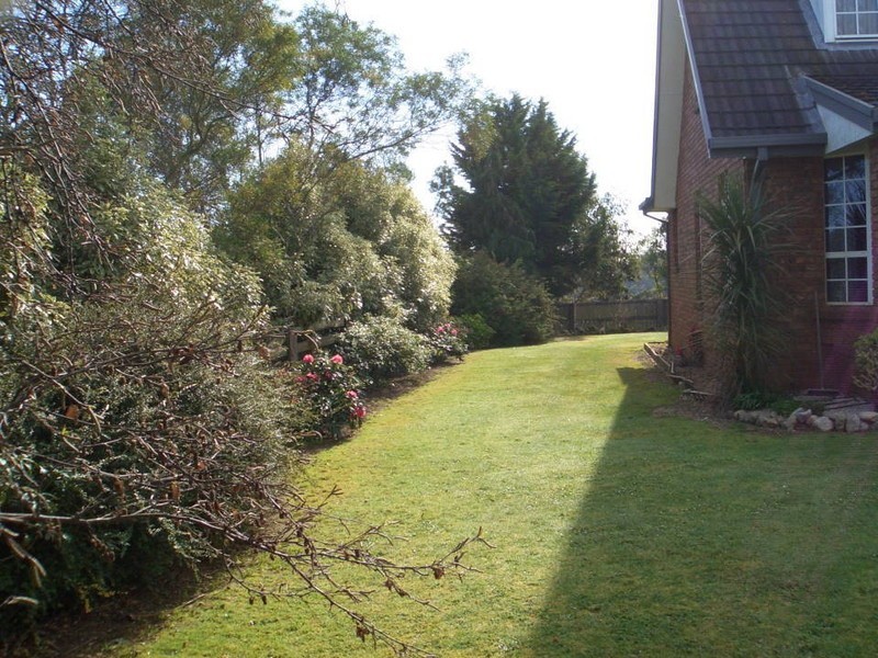 71 Williams Road, Scottsdale TAS 7260