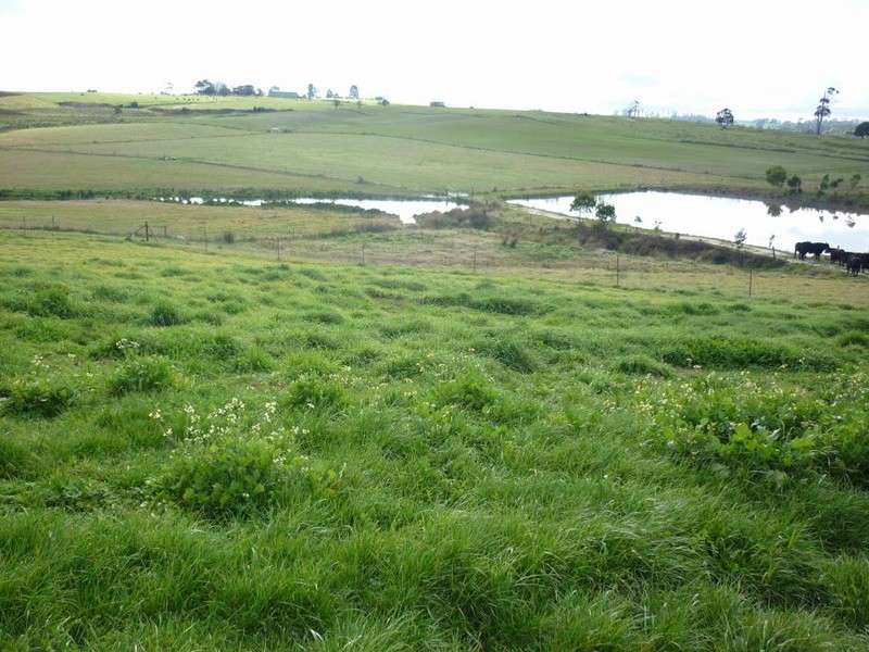 71 Williams Road, Scottsdale TAS 7260