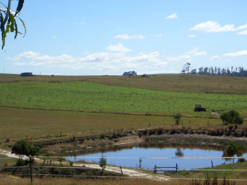 71 Williams Road, Scottsdale TAS 7260