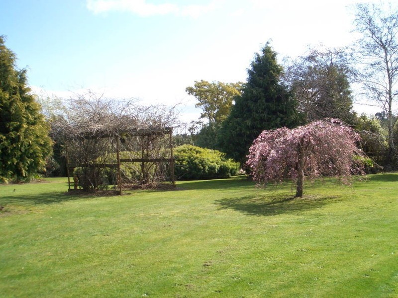 71 Williams Road, Scottsdale TAS 7260