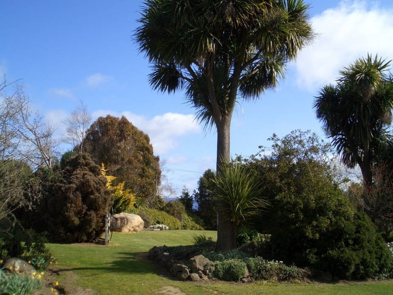 71 Williams Road, Scottsdale TAS 7260