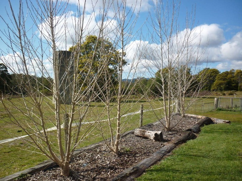 22 Gladstone Road, Herrick TAS 7264