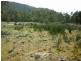 Tasman Highway, Scottsdale TAS 7260