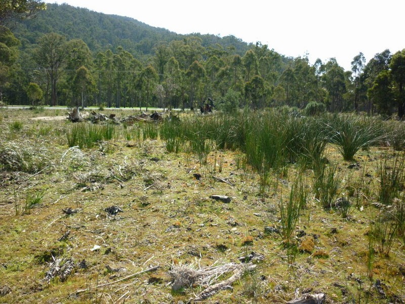 Tasman Highway, Scottsdale TAS 7260