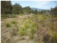 Tasman Highway, Scottsdale TAS 7260